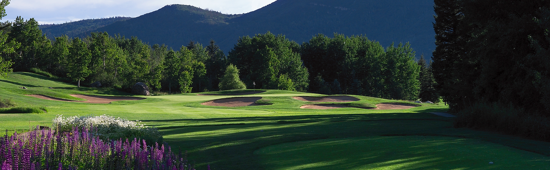 Image of golf ball on tee on grass.